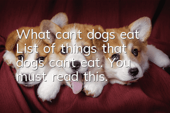 What can’t dogs eat? List of things that dogs can’t eat. You must read this.