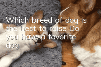 Which breed of dog is the best to raise? Do you have a favorite dog?