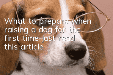 What to prepare when raising a dog for the first time? Just read this article