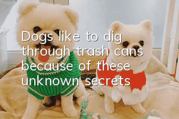 Dogs like to dig through trash cans because of these unknown secrets