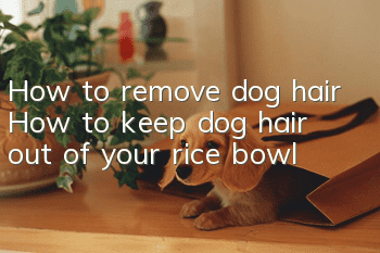 How to remove dog hair How to keep dog hair out of your rice bowl