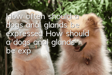 How often should a dog’s anal glands be expressed? How should a dog’s anal glands be expressed?