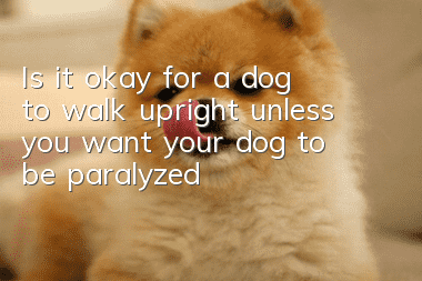 Is it okay for a dog to walk upright unless you want your dog to be paralyzed?