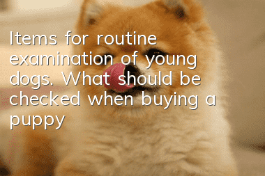 Items for routine examination of young dogs. What should be checked when buying a puppy?