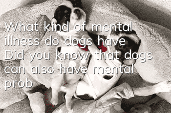 What kind of mental illness do dogs have? Did you know that dogs can also have mental problems?