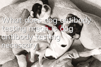 What does dog antibody testing mean? Is dog antibody testing necessary?
