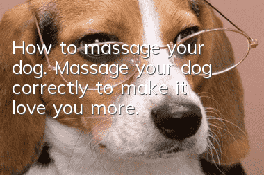 How to massage your dog. Massage your dog correctly to make it love you more.