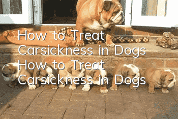 How to Treat Carsickness in Dogs How to Treat Carsickness in Dogs