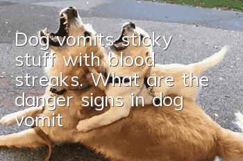 Dog vomits sticky stuff with blood streaks. What are the danger signs in dog vomit?