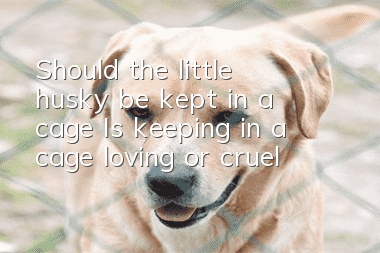 Should the little husky be kept in a cage? Is keeping in a cage loving or cruel?