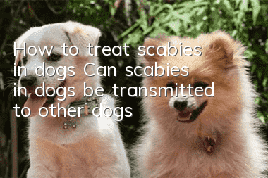 How to treat scabies in dogs? Can scabies in dogs be transmitted to other dogs?