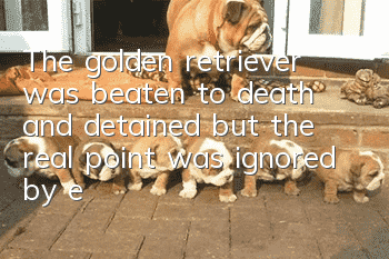 The golden retriever was beaten to death and detained, but the real point was ignored by everyone.