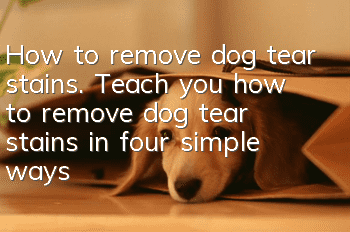 How to remove dog tear stains. Teach you how to remove dog tear stains in four simple ways.