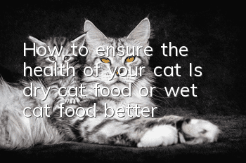How to ensure the health of your cat? Is dry cat food or wet cat food better?