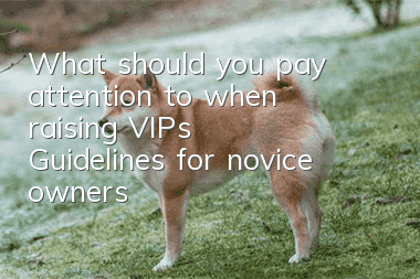 What should you pay attention to when raising VIPs? Guidelines for novice owners