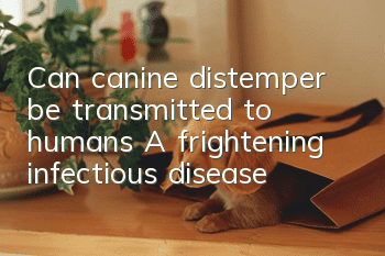 Can canine distemper be transmitted to humans? A frightening infectious disease