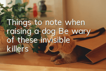 Things to note when raising a dog: Be wary of these invisible killers