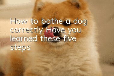 How to bathe a dog correctly? Have you learned these five steps?