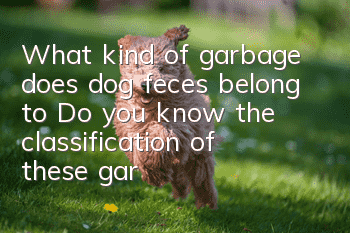 What kind of garbage does dog feces belong to? Do you know the classification of these garbage?
