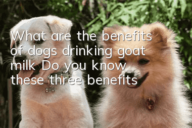 What are the benefits of dogs drinking goat milk? Do you know these three benefits?