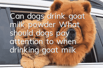 Can dogs drink goat milk powder? What should dogs pay attention to when drinking goat milk powder?