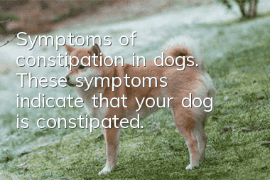 Symptoms of constipation in dogs. These symptoms indicate that your dog is constipated.