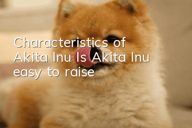 Characteristics of Akita Inu Is Akita Inu easy to raise?