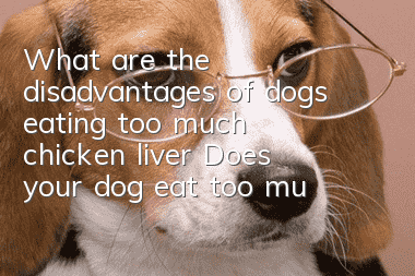 What are the disadvantages of dogs eating too much chicken liver? Does your dog eat too much chicken liver?