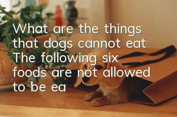 What are the things that dogs cannot eat? The following six foods are not allowed to be eaten by dogs.