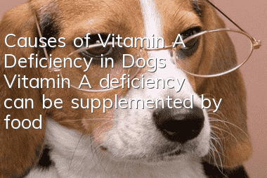 Causes of Vitamin A Deficiency in Dogs Vitamin A deficiency can be supplemented by food