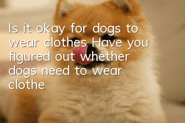 Is it okay for dogs to wear clothes? Have you figured out whether dogs need to wear clothes?