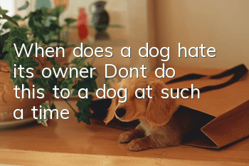 When does a dog hate its owner? Don’t do this to a dog at such a time!