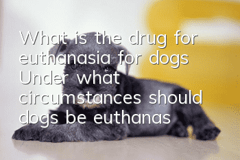 What is the drug for euthanasia for dogs? Under what circumstances should dogs be euthanasia?