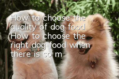 How to choose the quality of dog food? How to choose the right dog food when there is so much dog food?