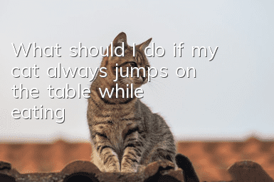 What should I do if my cat always jumps on the table while eating?