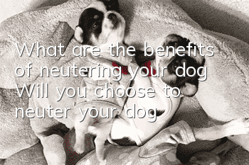 What are the benefits of neutering your dog? Will you choose to neuter your dog?