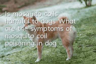 Is mosquito coils harmful to dogs? What are the symptoms of mosquito coil poisoning in dogs?