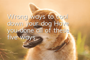 Wrong ways to cool down your dog? Have you done all of these five ways?