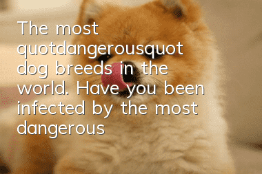 The most "dangerous" dog breeds in the world. Have you been infected by the most dangerous dog breeds in the world?