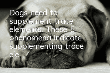 Dogs need to supplement trace elements. These 5 phenomena indicate supplementing trace elements!