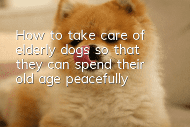 How to take care of elderly dogs so that they can spend their old age peacefully