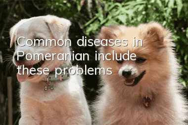 Common diseases in Pomeranian include these problems!
