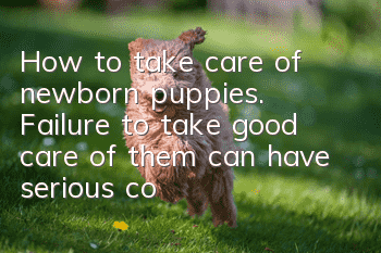 How to take care of newborn puppies. Failure to take good care of them can have serious consequences.