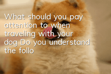 What should you pay attention to when traveling with your dog? Do you understand the following points?
