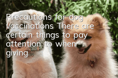 Precautions for dog vaccinations There are certain things to pay attention to when giving dog vaccinations