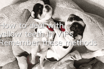 How to deal with yellow teeth in VIPs? Remember these methods