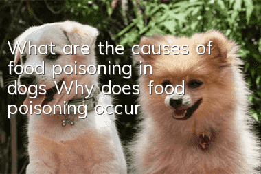 What are the causes of food poisoning in dogs? Why does food poisoning occur?
