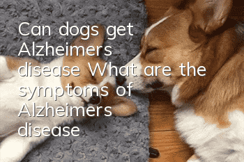 Can dogs get Alzheimer's disease? What are the symptoms of Alzheimer's disease?