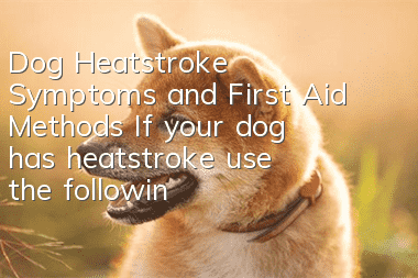 Dog Heatstroke Symptoms and First Aid Methods If your dog has heatstroke, use the following methods to cool down!