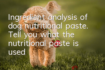 Ingredient analysis of dog nutritional paste. Tell you what the nutritional paste is used for dogs (1)